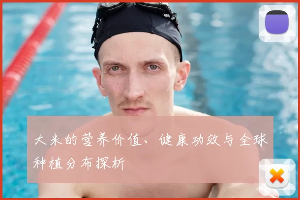 大米的营养价值、健康功效与全球种植分布探析