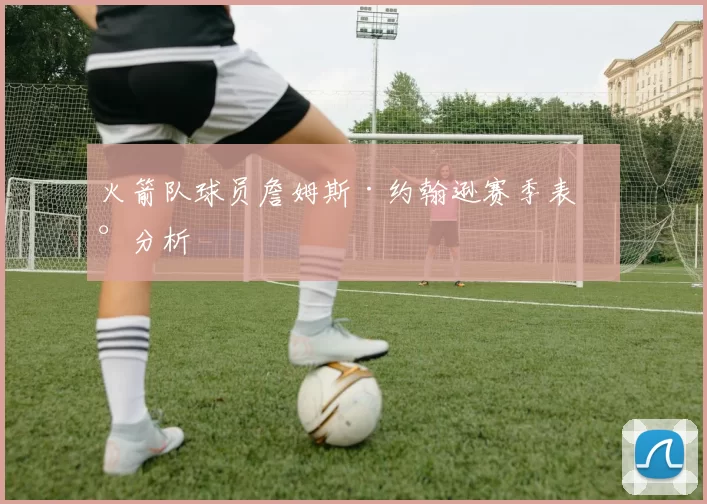 火箭队球员詹姆斯·约翰逊赛季表现分析