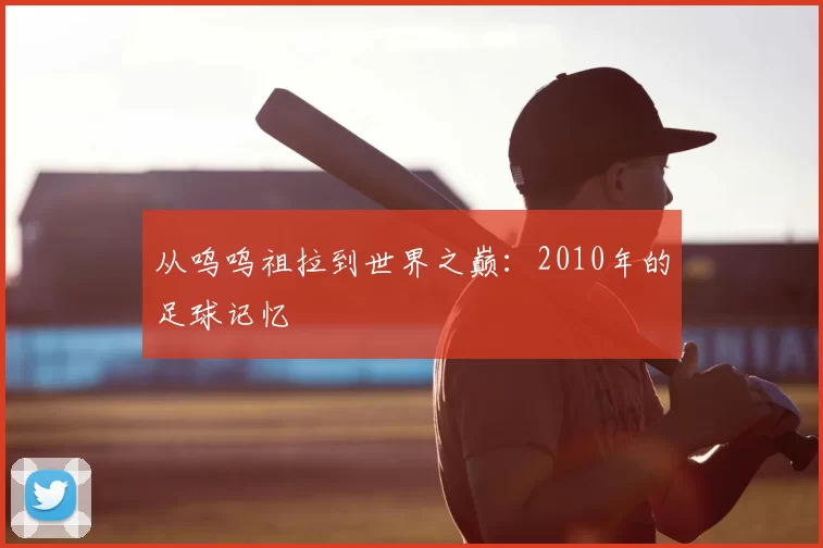 从呜呜祖拉到世界之巅：2010年的足球记忆