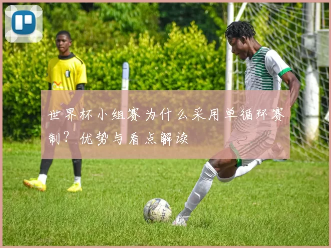 世界杯小组赛为什么采用单循环赛制？优势与看点解读
