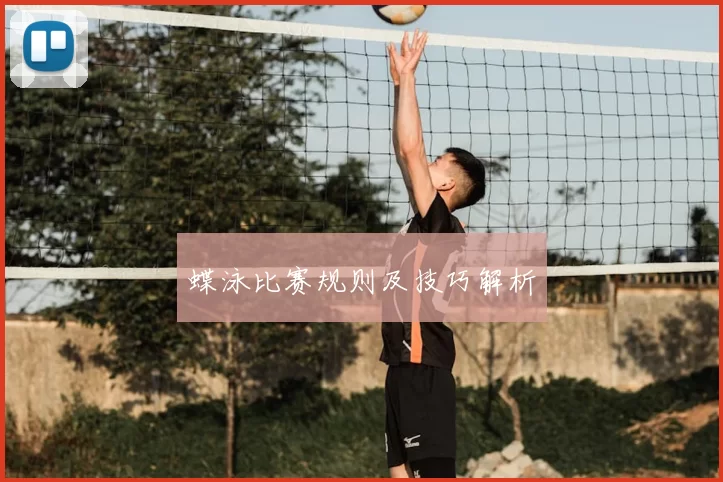 蝶泳比赛规则及技巧解析