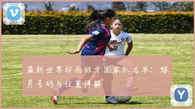 最新世界杯西班牙国家队名单:球员号码与位置详解