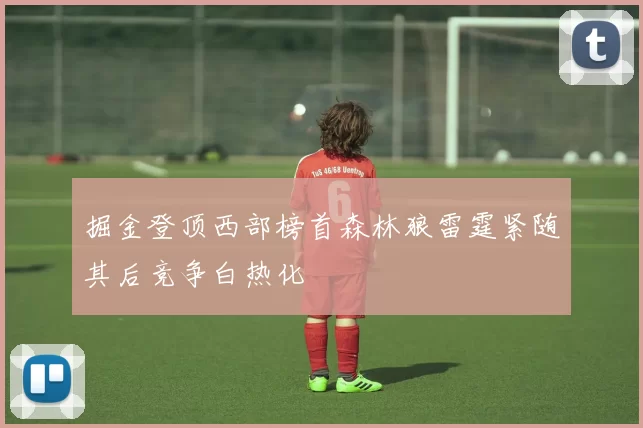 掘金登顶西部榜首森林狼雷霆紧随其后竞争白热化