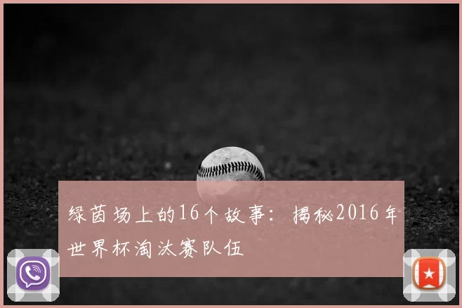 绿茵场上的16个故事：揭秘2016年世界杯淘汰赛队伍