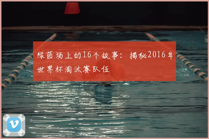 绿茵场上的16个故事：揭秘2016年世界杯淘汰赛队伍