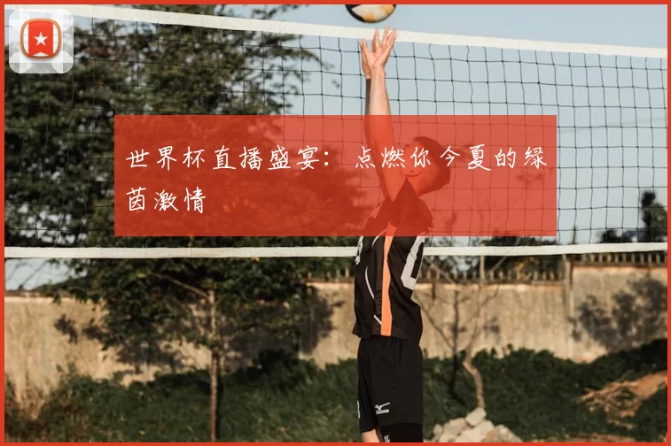 世界杯直播盛宴:点燃你今夏的绿茵激情