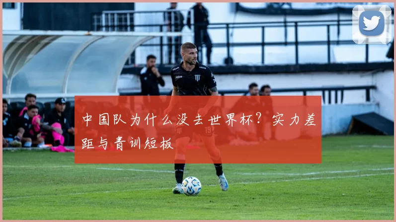 中国队为什么没去世界杯?实力差距与青训短板
