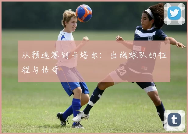 从预选赛到卡塔尔:出线球队的征程与传奇