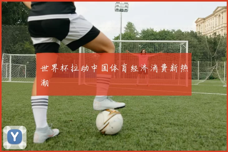 世界杯拉动中国体育经济消费新热潮