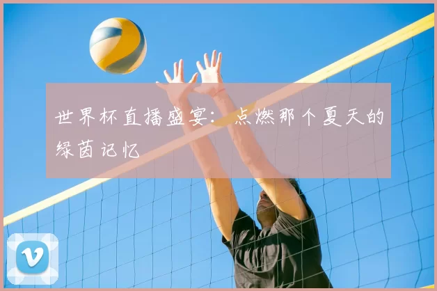 世界杯直播盛宴:点燃那个夏天的绿茵记忆