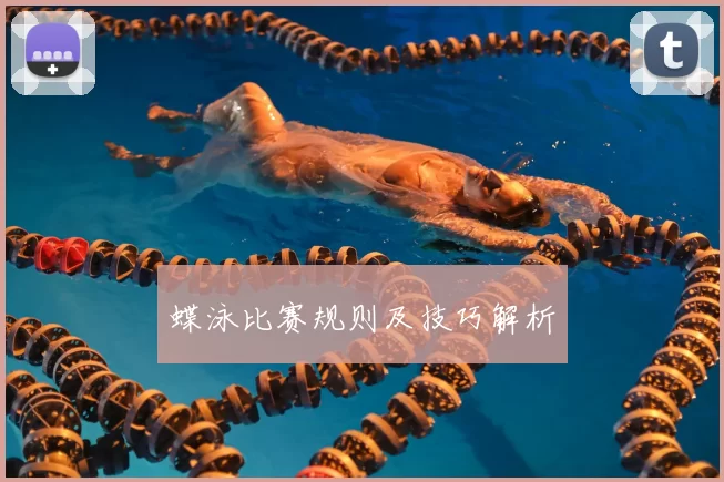 蝶泳比赛规则及技巧解析