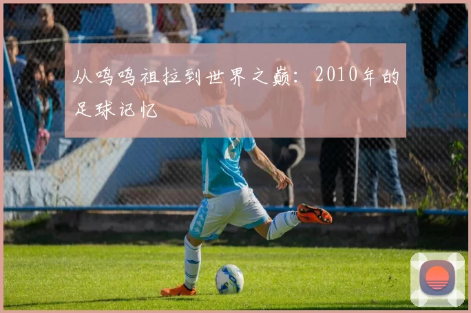从呜呜祖拉到世界之巅：2010年的足球记忆