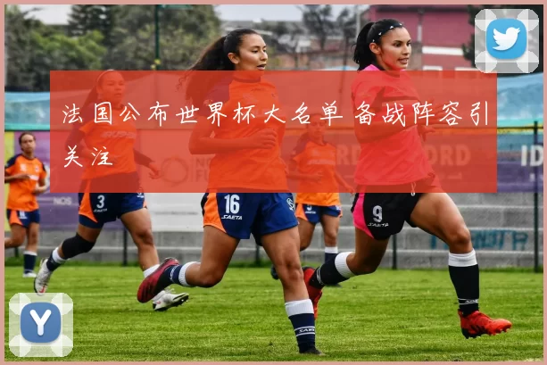 法国公布世界杯大名单 备战阵容引关注