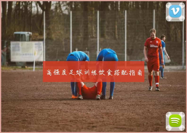 高强度足球训练饮食搭配指南