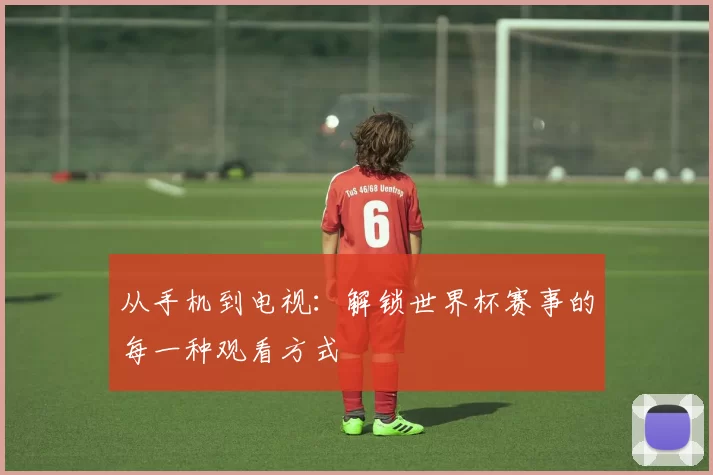 从手机到电视:解锁世界杯赛事的每一种观看方式