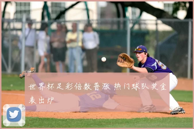 世界杯足彩倍数普涨 热门球队奖金表出炉