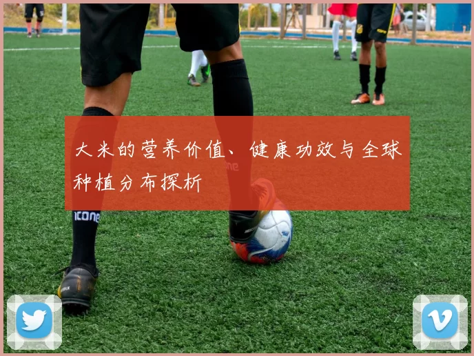 大米的营养价值、健康功效与全球种植分布探析