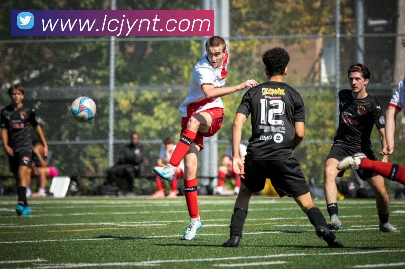 爱游戏官网服务体系